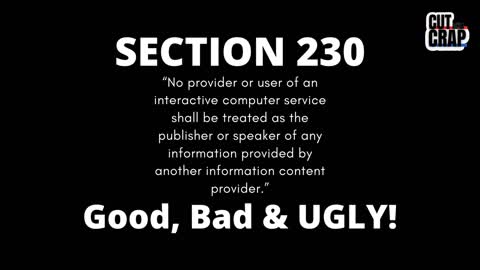 Immunity Impunity and the Insanity of Section 230