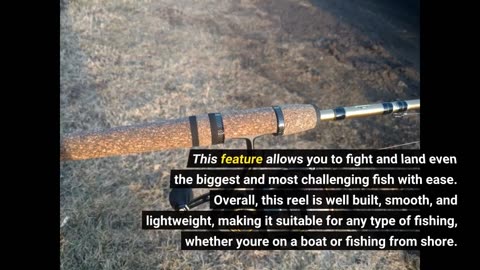 Real Reviews: Penn Clash II Spinning Reel - Lightweight Saltwater Shore and Kayak Fishing Reel...