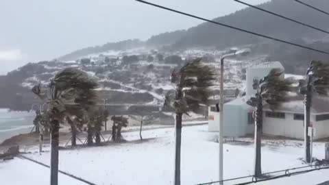 Jeju Island Blizzard Sees Out the Window