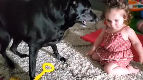 Baby Steals Back her Toy