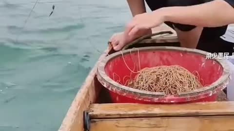 Viral Today l Unique River Fishing Techniques