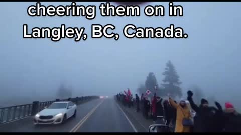 Canadian trucker part of the freedom convoy shares a video