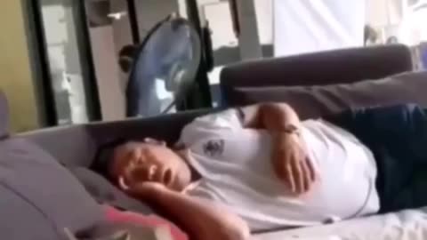 A cat is afraid of its owner's snoring😹😴