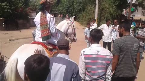 Horse dance in weddingnce Comedy __ funny horse dance __ varghoda dance __ D J dance