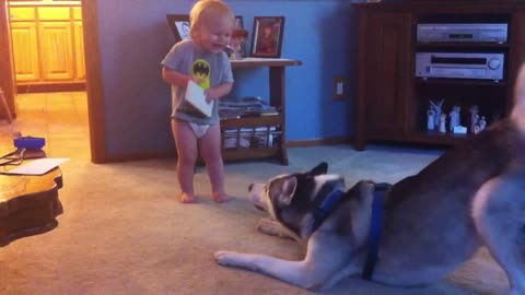 Baby playing with dog 🐕🐕🐕