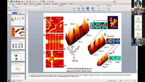 Stuart Hameroff 2021 - Quantum biology of consciousness