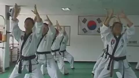 Hapkido