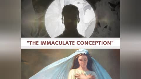 "Who Are You, O Immaculate Conception?"