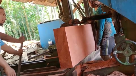 Amazing Red Wood Biggest And Expensive Shocks The World Of Grading In Indonesia