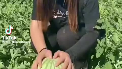 Watermelon 🍉