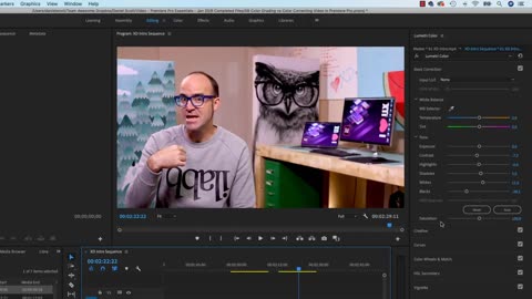 Color Grading vs Color Correction in Premiere Pro