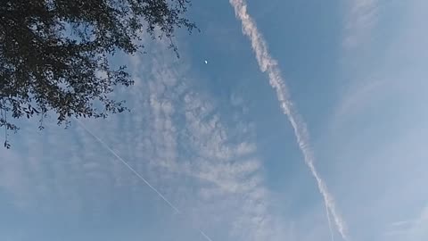 Marjorie Taylor-Greene Exposes Chemtrails?
