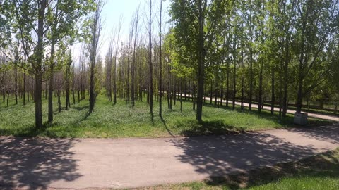 Park of the First President 🇰🇿 - Almaty, Kazakhstan 🇰🇿 - Walk Tour