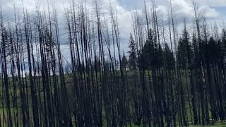 Investigation of the Chemical Lake Fire aftermath. Same strange anomolies as the other DEW attacks.