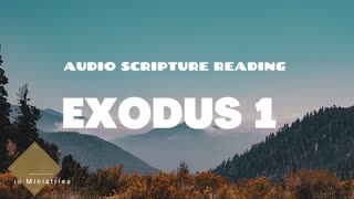 Exodus Chapter 1 - Day 51 of Walking Through The Entire Bible With Stony Kalango