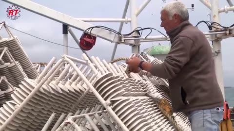 OYSTER OYSTER CULTIVATION MODERN OYSTER FARMING IN FRANCE
