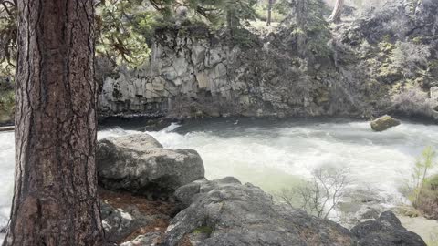 WILD RIVER PANORAMA of Dillon Falls Zone – Deschutes River Trail – Central Oregon – 4K