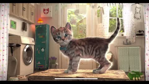 Little Kitten Adventure TV - Educational and cute video with cat and kitten LIVE