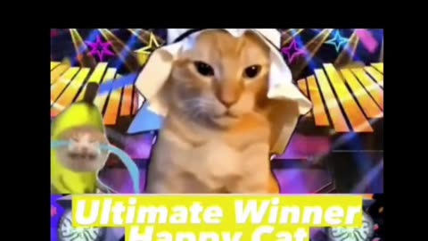 Unusual cat meme compilation 2 😎🤣🤭😹😸👍🏻 Kitty memes #memes #cat #catlife #catlover #viral #funny