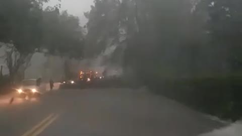 Emergencia por caída de árbol en Piedecuesta, por lluvias