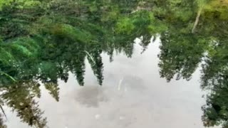 Blue pool in Oregon