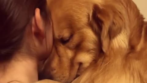 The dog hugs the girl warmly. romantic. The dog kisses the girl.