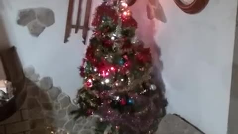 Christmas 2019---albero di natale seconda casa Gergei