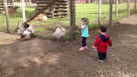 CUTEST kids and animals compilation!