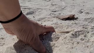 Playing in sand