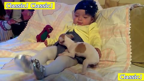 Adorable Babies Playing With Dogs Baby And Pet Video