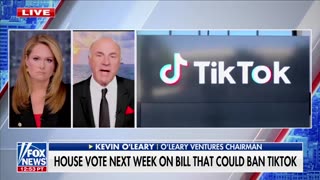 'I'll Buy It': Kevin O'Leary Ready To Snap Up TikTok If Bill Clears The Way