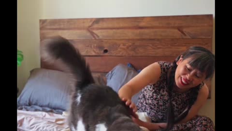 Woman Sitting on her Bed Petting her Cat#cat #cat990