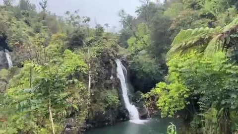 EXPLORING MAUI, HAWAII: Paradise on Earth! 🏝️