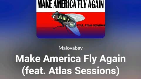 MAKE AMERICA FLY AGAIN