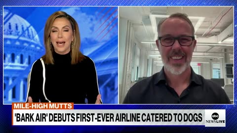 Bark Air celebrates pooches who travel ABC News