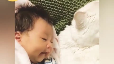 Cute CAT's with Cute Babies compilation 2018 lovely and Funny moments at home