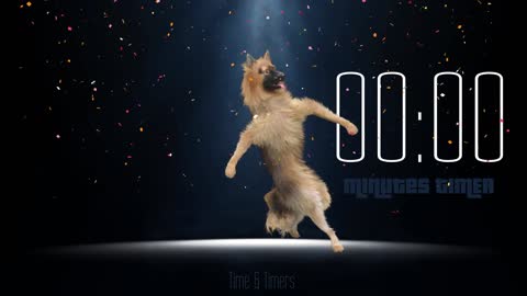 Funny Dancing Dog 1 Minute TIMER with Music and Alarm [4K]..... 🤣