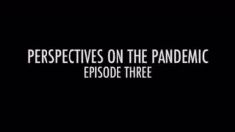 Perspectives on the Pandemic 3 - Dr David Katz “Total Harm Mitigation”