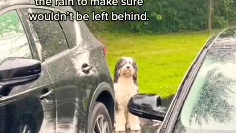 She Stood by the car in the rain