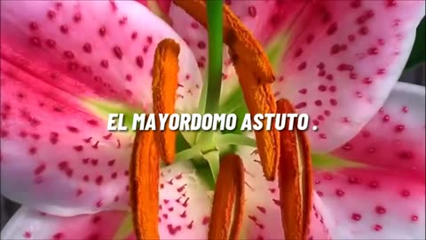 EL MAYORDOMO ASTUTO_ Devocional