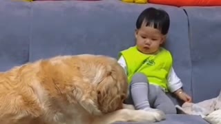 MUST SEE Dog Introducing Him Self To A Baby Boy