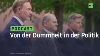 Von der Dummheit in der Politik