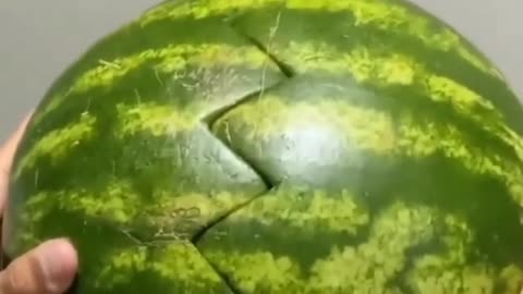 " cute dog or cat - inside the wetermelon"