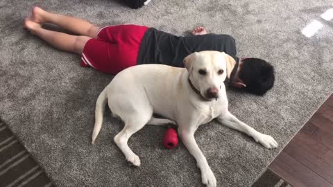 Dog helps kid go through pandemic—Wrestling Entertainment of a dog and kid