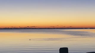 Ducks fishing at sunrise