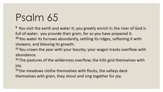 Psalm 65 Devotion