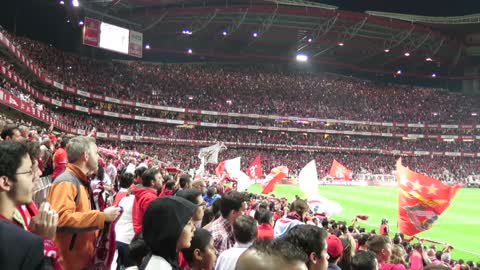 Benfica Vs Guimaraes