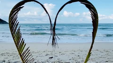 A Heart Shaped Made From Palm Leaves For Photo Shots Background