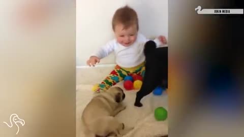 Babies laughing at pets
