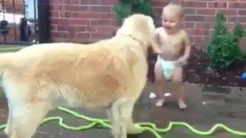 Cute Baby Laughing while spraying Doggie (Playlist Fun, Happy Videos)
